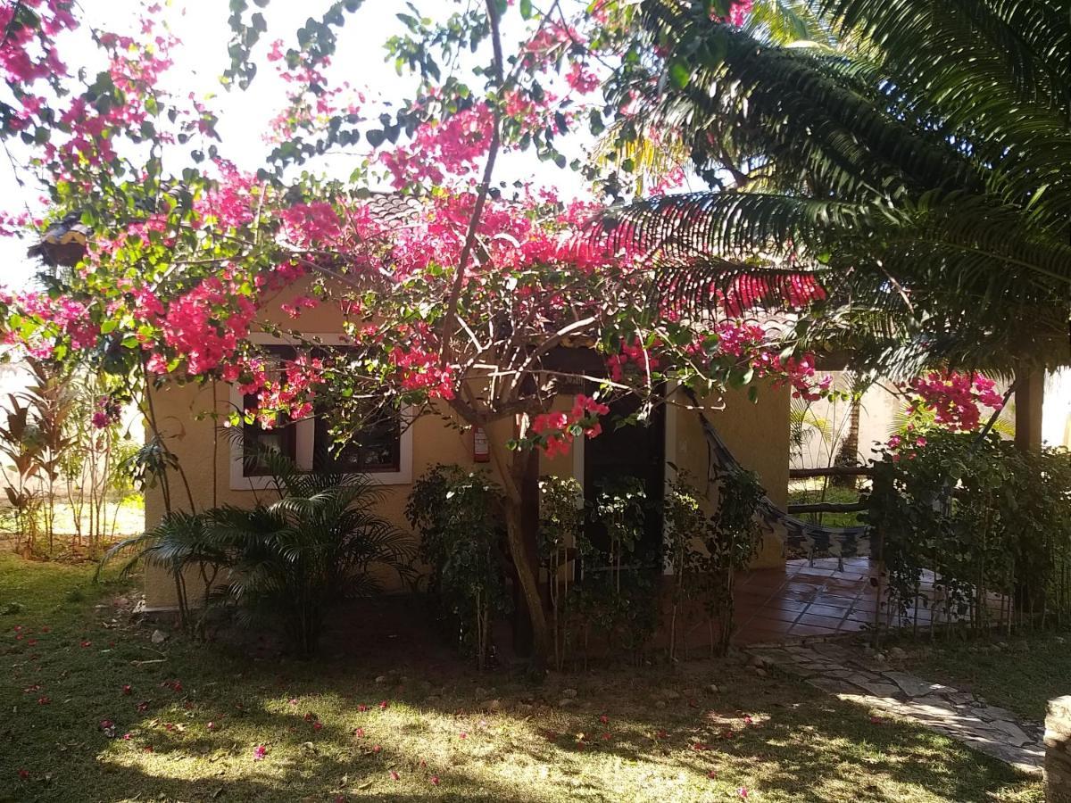 Aquarela Do Brasil Village Praia de Pipa Eksteriør billede